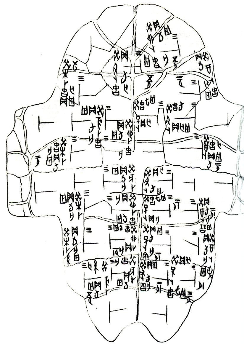 Plastron de carapace de tortue (numéro d'inventaire : jia Plastron de carapace de tortue (numéro d'inventaire : jia 